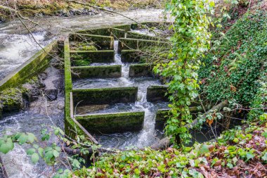 A fish ladder on the Deschutes River in Washington State.
