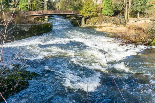 Deschutes River Flows Brewery Park Tumwater Washington — Stock Fotó