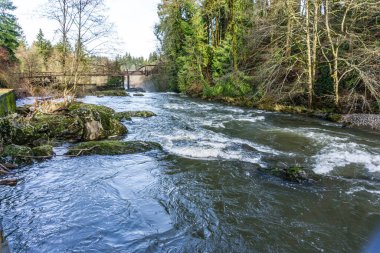 A view of the Deschutes River neare Tumwater Falls in Washington State.