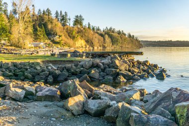 A landscape shot of the shoreline at Saltwater State Park in Des Moines, Washington. It is January.