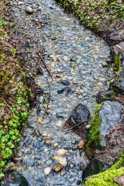 A rocky stream a MeadowDale Beach Parkin in Lynnwood, Wasthington.