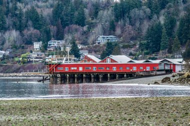 A view of the shoreline of Lynnwood, Washington at low tide.