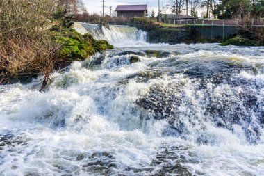 Tumwater, Washington 'daki Brewery Park' taki şelaleler.
