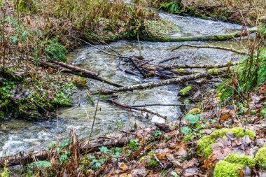 A rocky stream a MeadowDale Beach Parkin in Lynnwood, Wasthington.