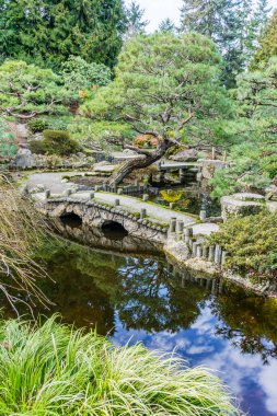 Clouds are relfected in a pond at a Japanes Garden in Seatac, Washington. It is winter.