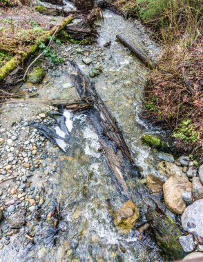 A rocky stream a MeadowDale Beach Parkin in Lynnwood, Wasthington.