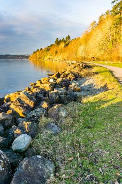 A landscape shot of the shoreline at Saltwater State Park in Des Moines, Washington. It is January.