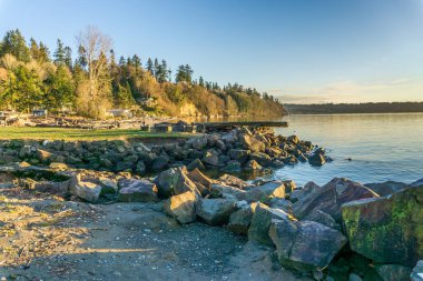 A landscape shot of the shoreline at Saltwater State Park in Des Moines, Washington. It is January.