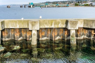 A cement sea wall at the Port of Edmonds in Washington State.