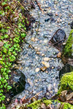A rocky stream a MeadowDale Beach Parkin in Lynnwood, Wasthington.