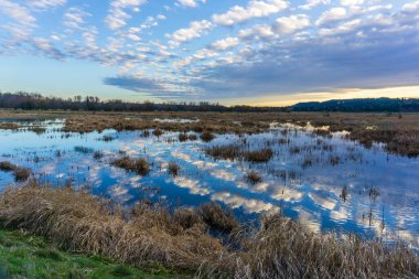 Clouds in the sky over the Nisqually Wetalnds are reflected in the water. In Washington State.