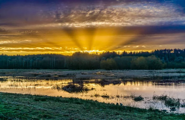 Pôr Sol Dourado Estuário Das Zonas Húmidas Estado Washington — Fotografia de Stock