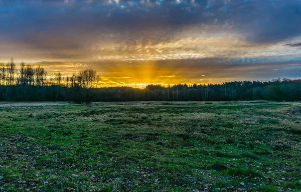 Golden Sunset Nisqually Wetlands Estuary Washington State — Stockfoto