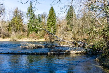 Washington 'daki Flaming Geyser State Park yakınlarındaki Gren Nehri' nin kışın manzarası.