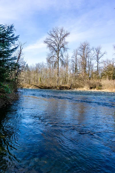 华盛顿州弗拉明间歇泉州立公园附近的格林河冬季风景 — 图库照片