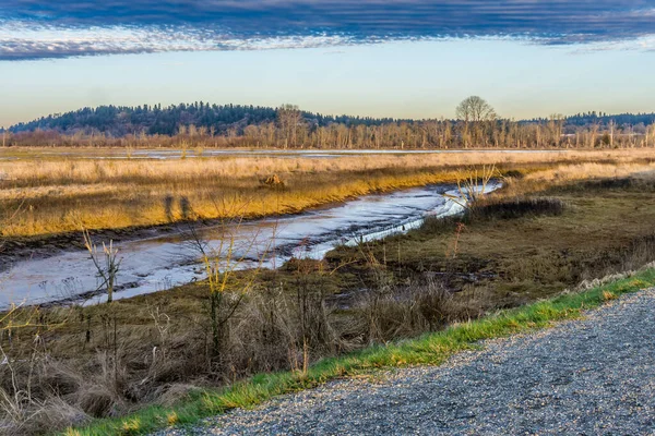 沃辛根州尼斯夸利湿地河口的风景照片 — 图库照片