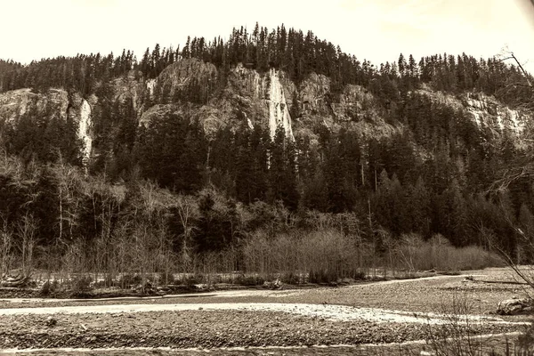 Frysta Vattenfall Nära Mount Rainier Delstaten Washington — Stockfoto