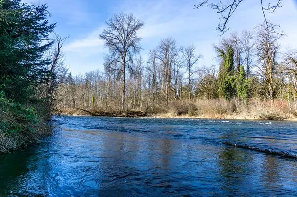 Una Vista Invierno Del Río Gren Cerca Del Parque Estatal —  Fotos de Stock