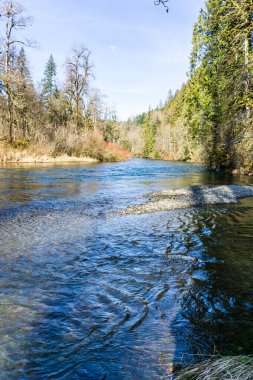 Washington 'daki Flaming Geyser State Park yakınlarındaki Gren Nehri' nin kışın manzarası.