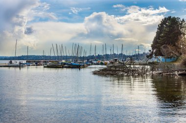 Seattle, Washington 'ın Leschi bölgesindeki marinaya demirlemiş teknelerin görüntüsü..