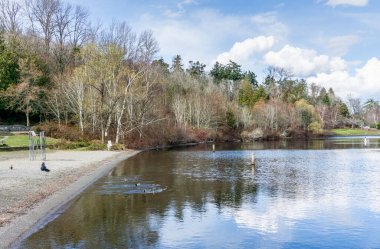 Seattle 'daki Washington Gölü boyunca trres. Baharın başındayız..