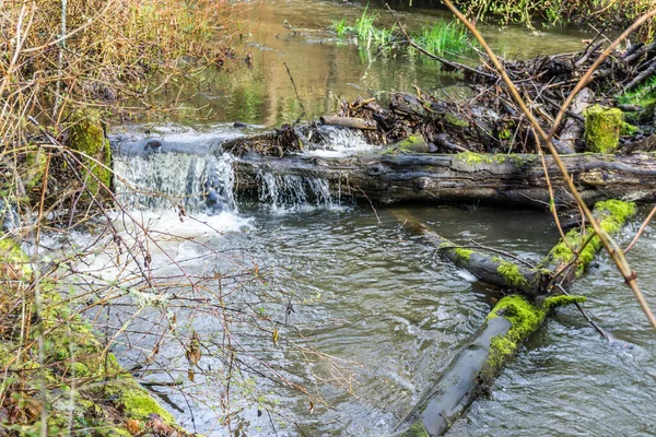 Una Vista Des Moines Creek Principios Primavera Situado Des Moines —  Fotos de Stock