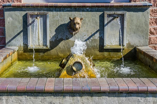 Plan Rapproché Une Fontaine Issaquah Washington — Photo