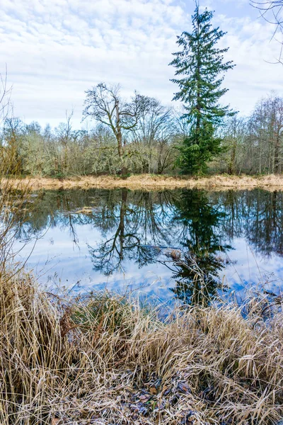 Miljön Återspeglas Vattnet Nisqually Wetlands Delstaten Washington — Stockfoto