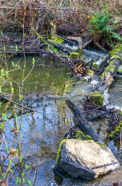 Una Vista Des Moines Creek Principios Primavera Situado Des Moines — Foto de Stock
