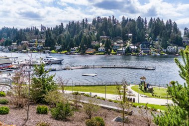 Bellevue, Washington 'daki Meydenbauer Bay Park' taki rıhtım manzarası..