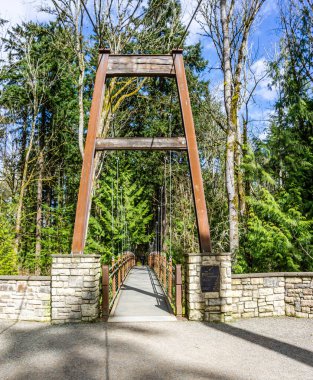 Washington 'daki Bellevue Botanik Bahçesi' nde yürüyen bir süspansiyon kanalı..