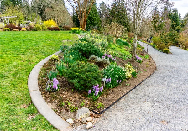 Vue Jardin Sentier Bellevue Botanical Garden Dans État Washington — Photo