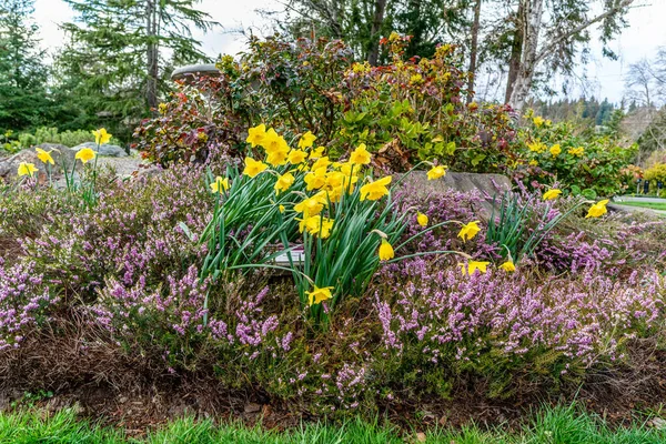 Ένα Πάρκο Στη Νορμανδία Στην Ουάσινγκτον Ανθίζουν Ανοιξιάτικα Λουλούδια — Φωτογραφία Αρχείου