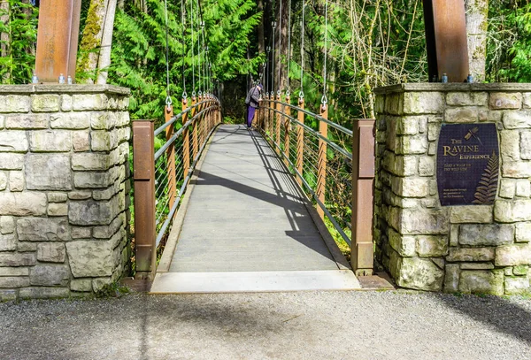 View Walking Suspension Brdige Bellevue Botanical Garden Washington State — Photo