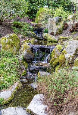 Washington 'daki Meydenbauer Bay Park' ta küçük bir şelale..