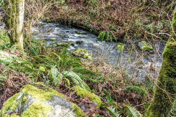 Una Vista Des Moines Creek Principios Primavera Situado Des Moines — Foto de Stock