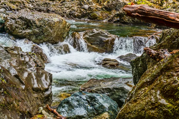Uma Vista Rio Snoaualmie Perto Twin Falls Estado Washington — Fotografia de Stock
