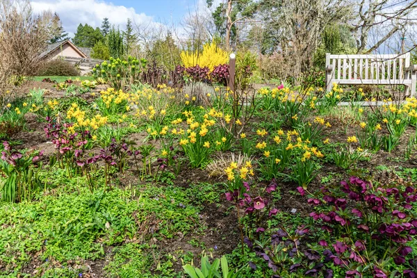 ワシントン州のベルビュー植物園の庭園と道の眺め — ストック写真