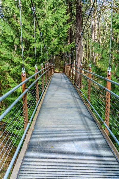 View Walking Suspension Brdige Bellevue Botanical Garden Washington State — Stock Photo, Image