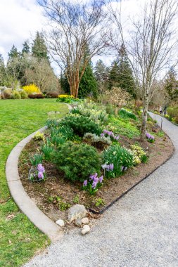 Washington 'daki Bellevue Botanik Bahçesi' nde bir bahçe ve patika manzarası.