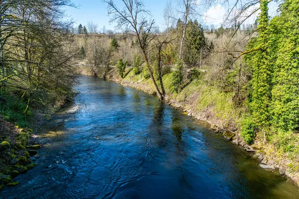 Blick Auf Den Cedar River Frühling Renton Washington — Stockfoto