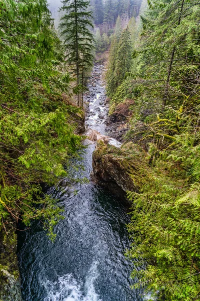 Una Vista Del Río Snaqualmie Desde Twin Falls Estado Washington — Foto de Stock