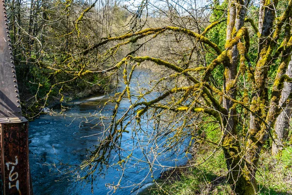 Blick Auf Den Cedar River Frühling Renton Washington — Stockfoto
