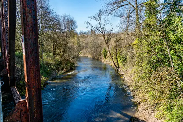 Una Vista Del Río Cedro Primavera Renton Washington —  Fotos de Stock
