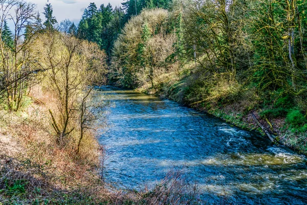 Una Vista Del Río Cedro Primavera Renton Washington —  Fotos de Stock