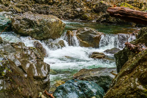 华盛顿州特温瀑布附近的Snoqualmie河景观 — 图库照片