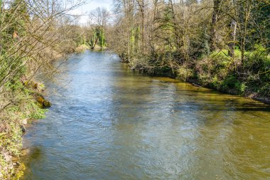 Washington, Renton 'da ilkbaharda Cedar Nehri manzarası.