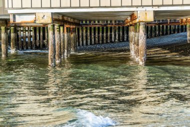 Redondo Beach, Washington 'daki iskele manzarası. Dalgalar düşük.