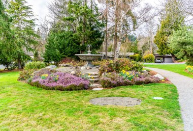 Normandy Park, Washington 'da bir bahçe parkı. Bahar çiçekleri açıyor..