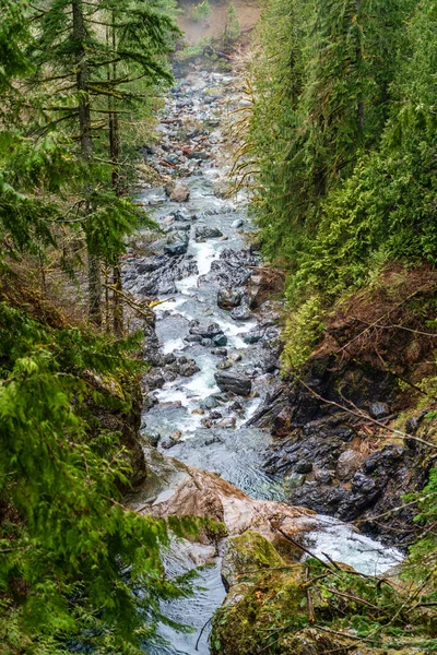 stock image A view of the Snaqualmie River below  from Twin Falls in Washington State.